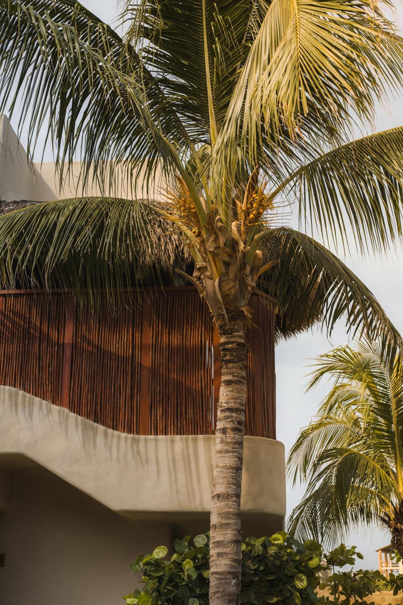 El Origen Villas & Spa-Puerto Escondido Puerto Escondido  Kültér fotó